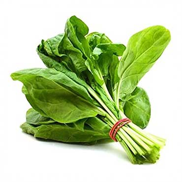 Apple iPod classic 1...