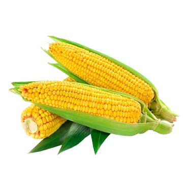 Apple iPod classic 1...